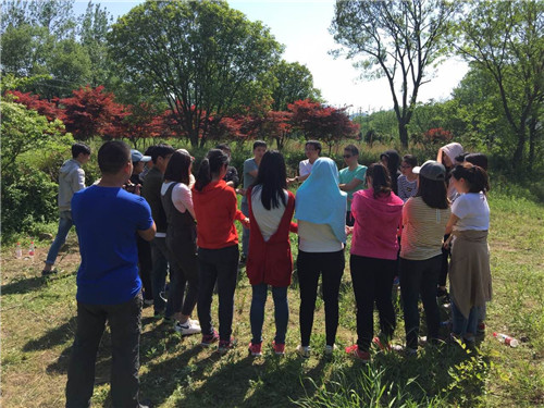 �ڲ�(yibo)�����������-ios/��׿ͨ�ð�app����