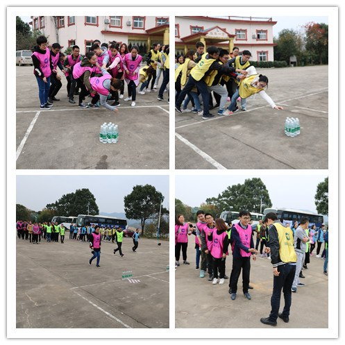 �ڲ�(yibo)�����������-ios/��׿ͨ�ð�app����