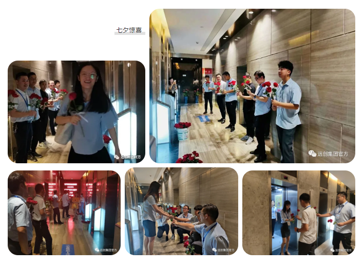 �ڲ�(yibo)�����������-ios/��׿ͨ�ð�app����