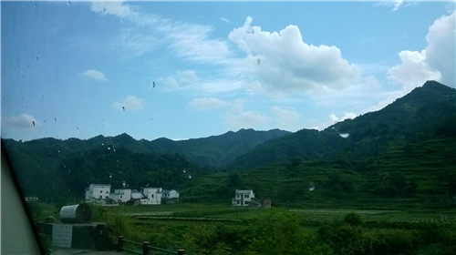 �ڲ�(yibo)�����������-ios/��׿ͨ�ð�app����