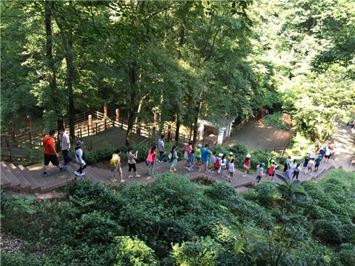 �ڲ�(yibo)�����������-ios/��׿ͨ�ð�app����