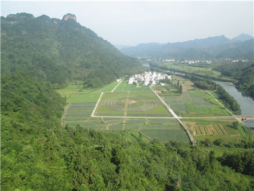 �ڲ�(yibo)�����������-ios/��׿ͨ�ð�app����