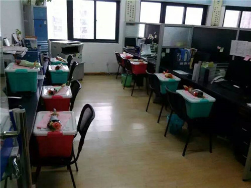 亿博(yibo)体育官网入口-ios/安卓通用版app下载